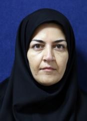Nasim Khajavirad