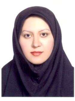 Marjan Behroozibakhsh