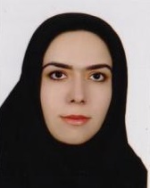 Hanieh-Sadat Ejtahed