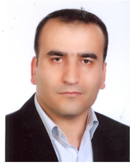 Reza Faridi Majidi