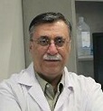 Seyed Ali Emami Meibodi