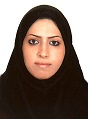 Elnaz Vahidi