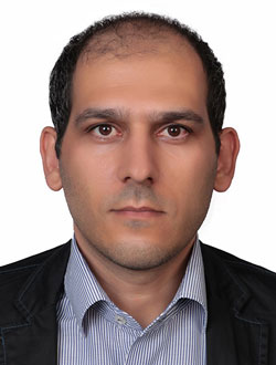 Mohammad Mehdi Amiri