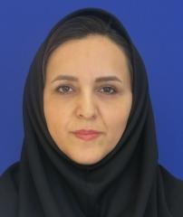 Masoumeh Majidi Zolbin
