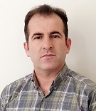 Mansour Shamsipour