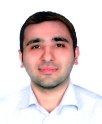 Seyed Mohsen Ahmadi Tafti