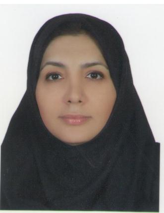 Maryam Veysizadeh