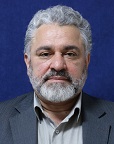 Reza Safaee