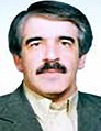 Javad Mikaeli
