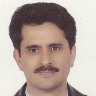 Homayoun Amini