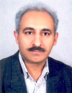 Mohsen Amini
