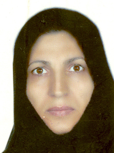 Azar Danesh Shahraki
