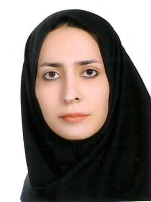 Mehrzad Salmasi