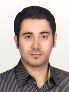 Farshad Gholipour