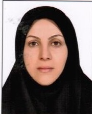 Narges Ansari