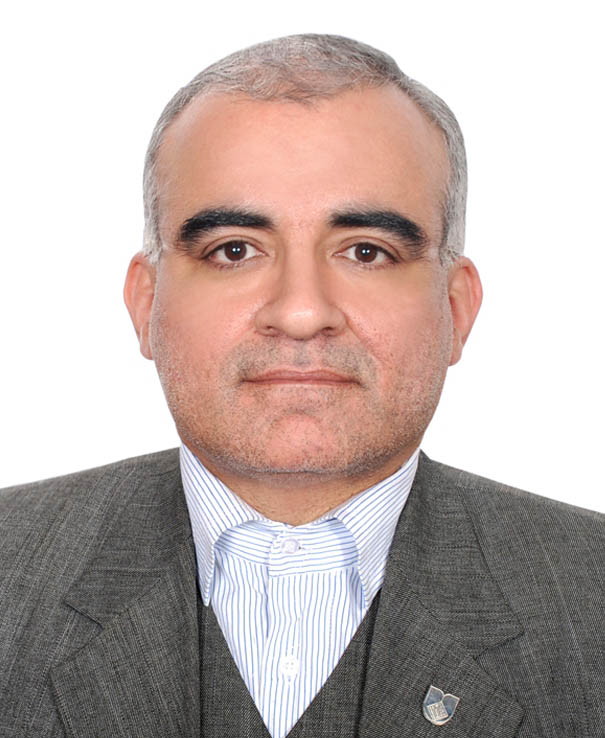 Ali Mohammad Sabzghabaee