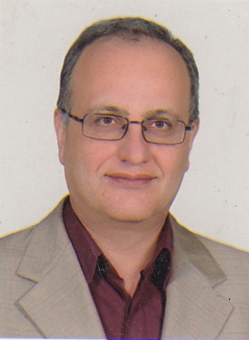 Hamid Mirmohammad Sadeghi